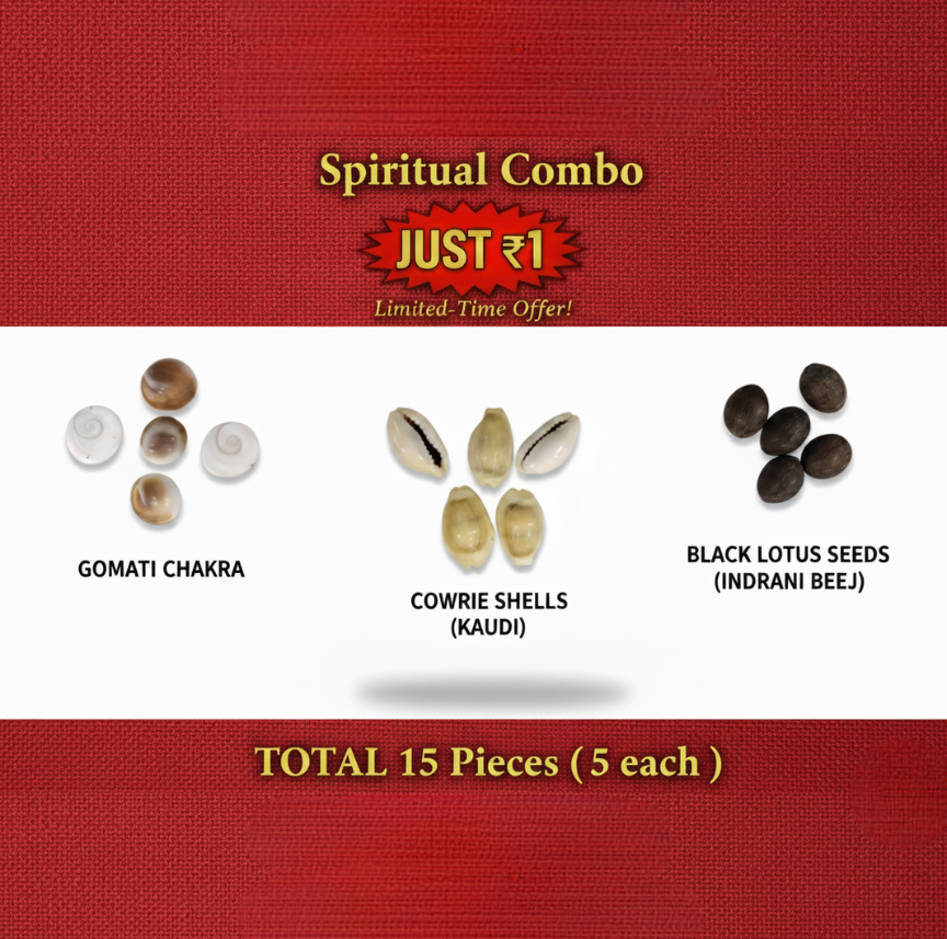 Spiritual Combo for Puja: Gomati Chakra, Cowrie Shells & Black Lotus Seeds (15 Pcs)