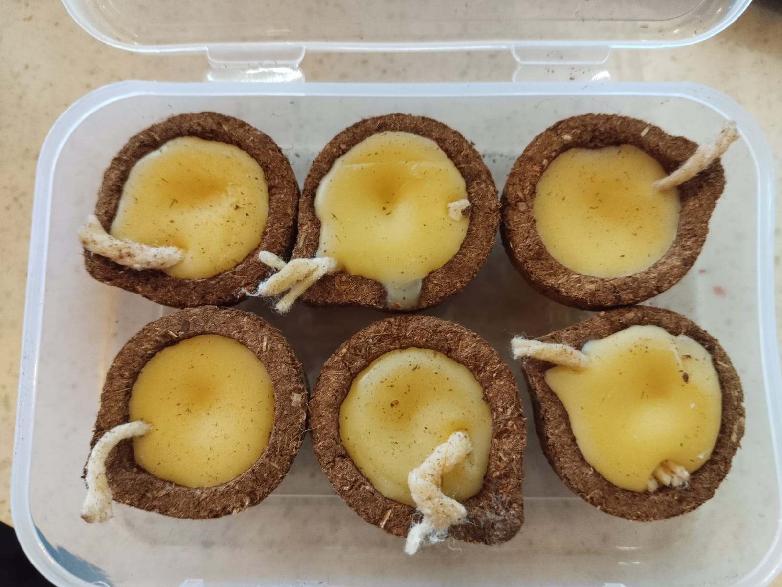 Astalakshmi Panchagavya Ghee Diya
