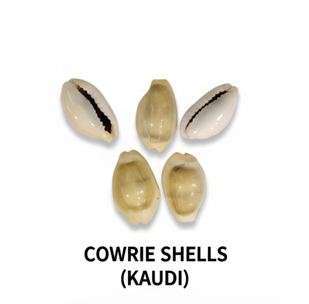 Spiritual Combo for Puja: Gomati Chakra, Cowrie Shells & Black Lotus Seeds (15 Pcs)