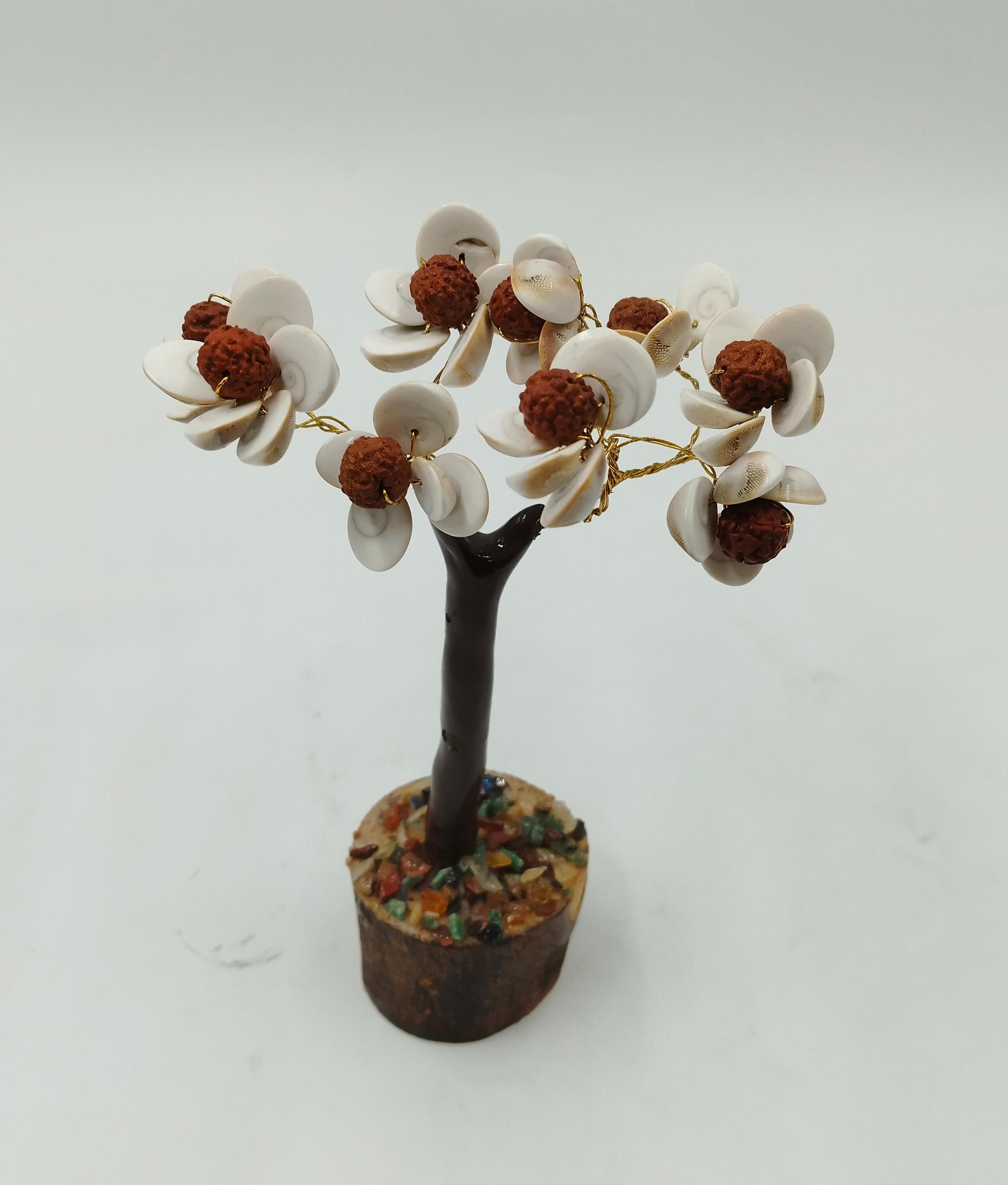 (Gomati Chakara Tree With Rudraksha)