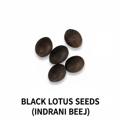 Spiritual Combo for Puja: Gomati Chakra, Cowrie Shells & Black Lotus Seeds (15 Pcs)