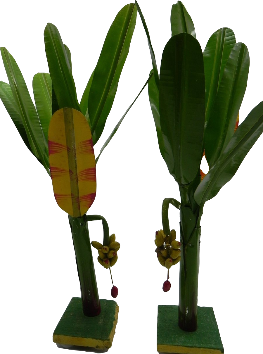 Banana tree with stand and Banana Bunch. ( FOR DECORATION)