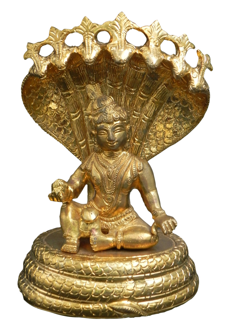 Krishna with Snake Idol