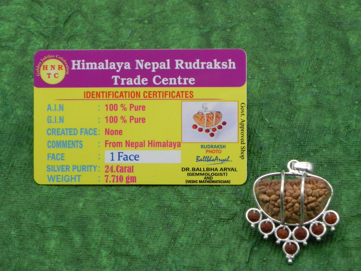 1 Mukhi Certified Rudraksha with silver capping (Nepali Origin)