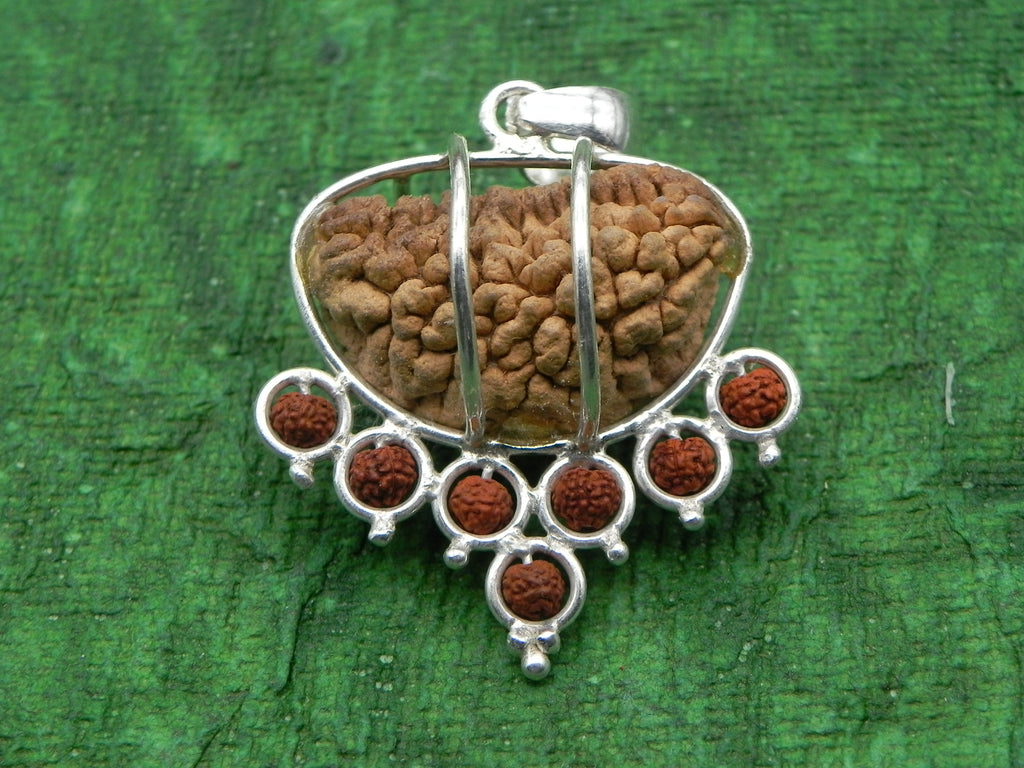 1 Mukhi Rudraksha