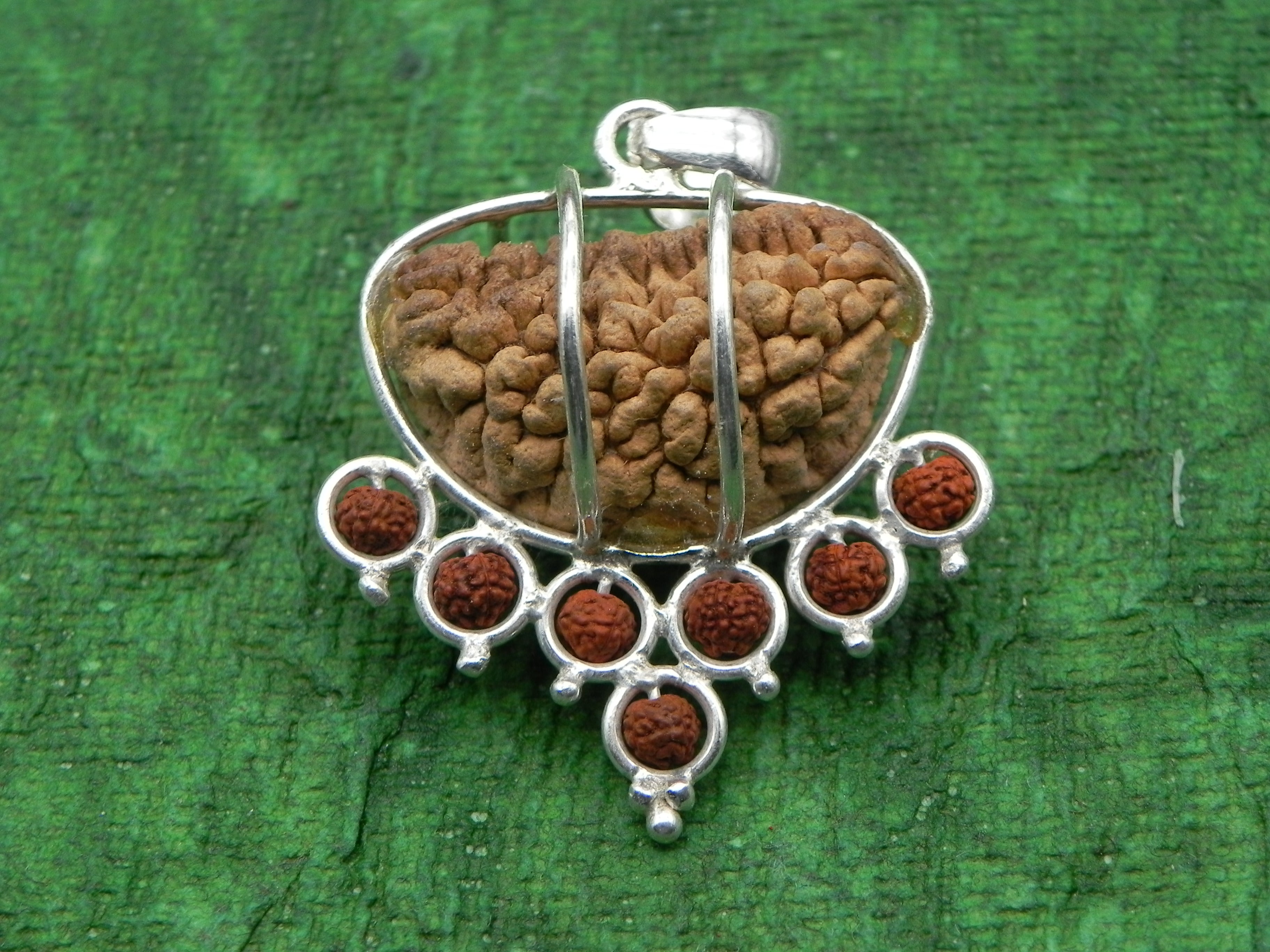 1 Mukhi Rudraksha