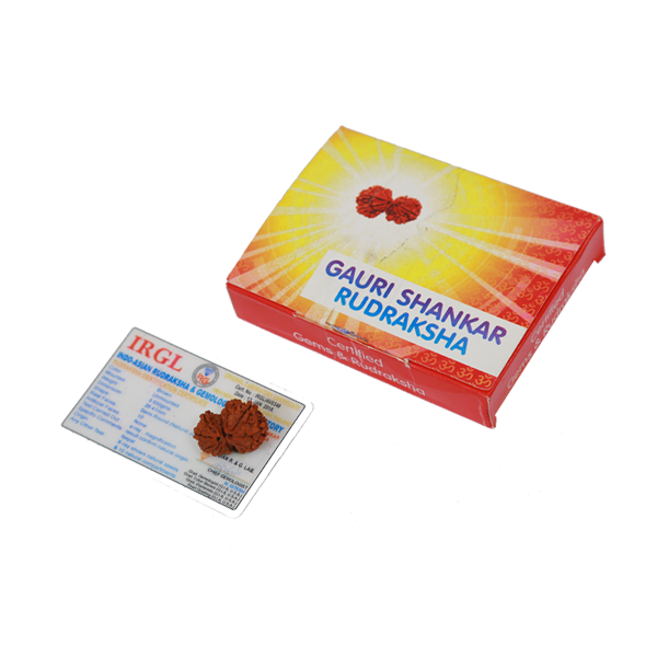 Gowri Shankar Rudraksha Certified (Nepali Origin)