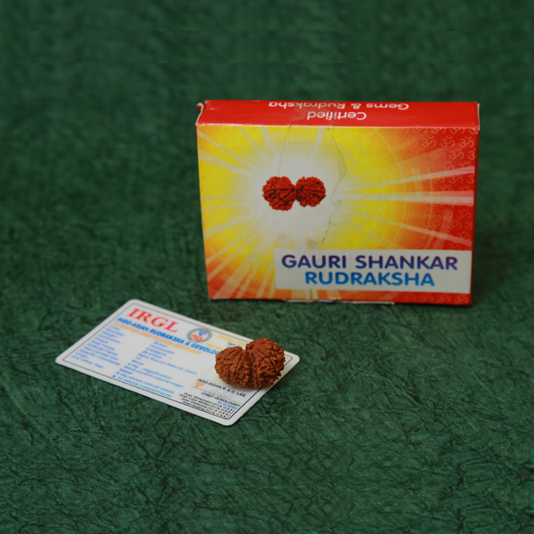 Gowri Shankar Rudraksha Certified (Nepali Origin)