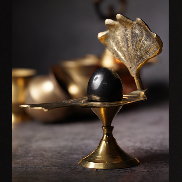 Shaligram Shiva Linga