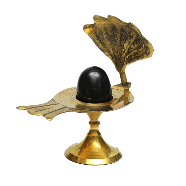 Shaligram Shiva Linga